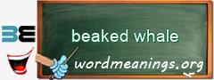 WordMeaning blackboard for beaked whale